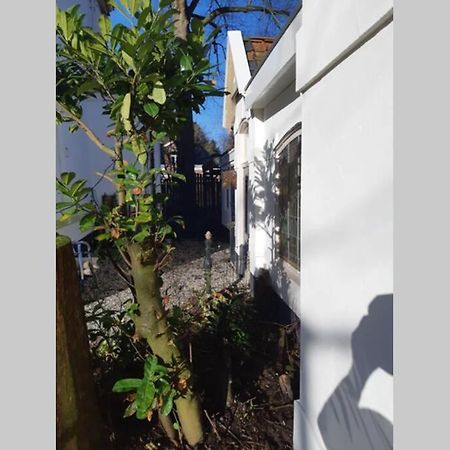Overnachten in Oranjerie, 7 km onder Groningen Paterswolde Buitenkant foto