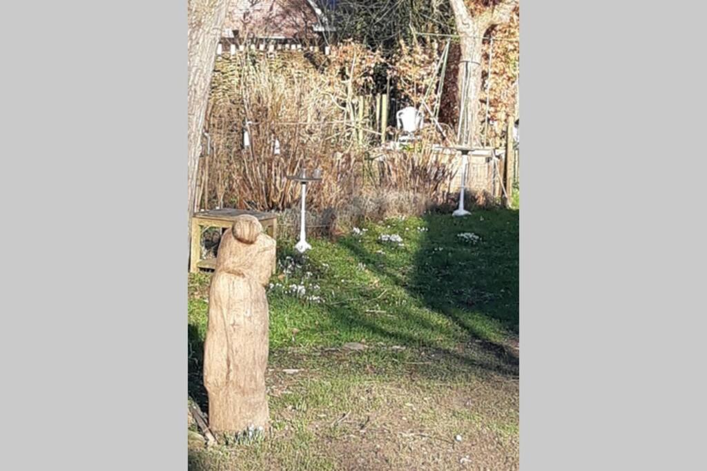 Overnachten in Oranjerie, 7 km onder Groningen Paterswolde Buitenkant foto