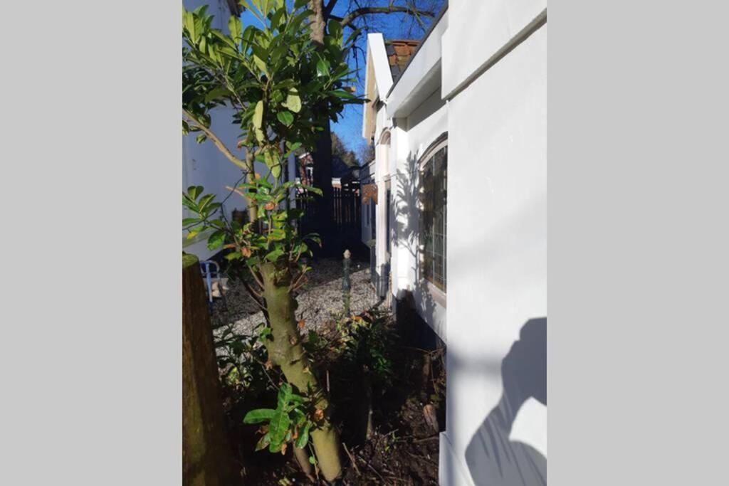 Overnachten in Oranjerie, 7 km onder Groningen Paterswolde Buitenkant foto
