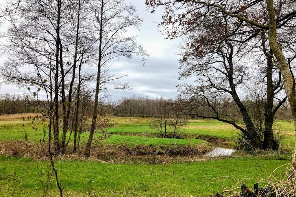 Overnachten in Oranjerie, 7 km onder Groningen Paterswolde Buitenkant foto